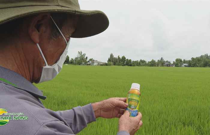 Chuyên đề Lion (kỳ 2): Giải pháp “Mượt lá Đòng - Bông sáng chắc” (13-07-2022 )
 